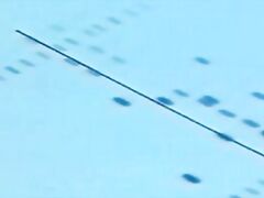 sexy mom in a homemade porn movie with amateur xxx content and forced anal sex.